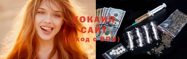 дживик Майский