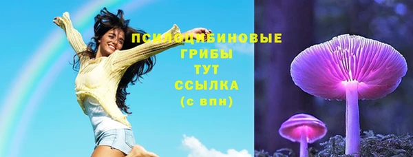 дживик Майский