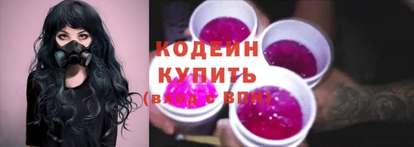 дживик Майский