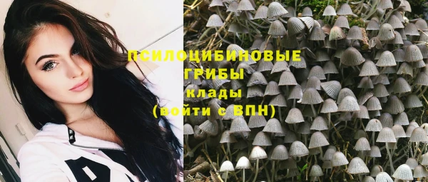ГАЛЛЮЦИНОГЕННЫЕ ГРИБЫ Магадан
