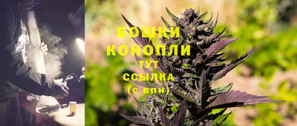 ГАЛЛЮЦИНОГЕННЫЕ ГРИБЫ Магадан