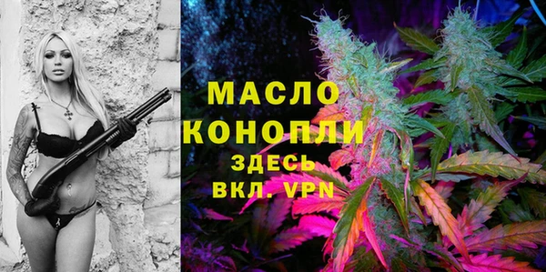 дживик Майский