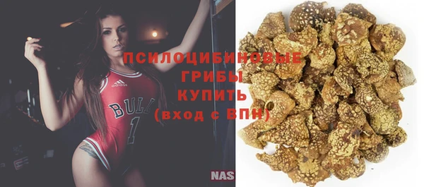 ГАЛЛЮЦИНОГЕННЫЕ ГРИБЫ Магадан