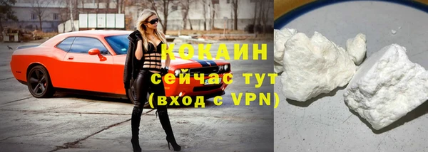 дживик Майский